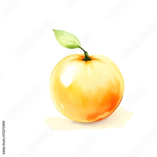 Watercolor tangerine isolated on white. Ideal for kitchen prints, food packaging, stickers, branding, and botanical designs