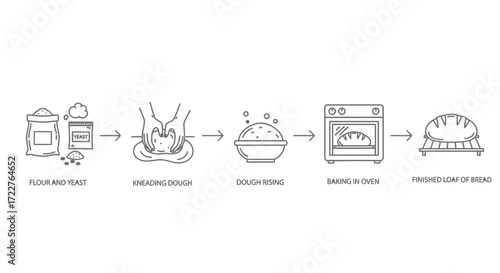 Illustrated sequence depicting the bread-making process, from ingredients to a finished loaf.