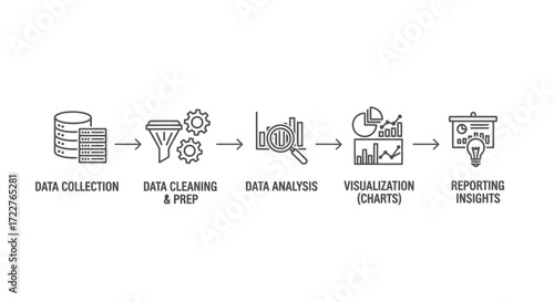 A visual representation of the data science workflow, illustrating steps from data collection and cleaning to analysis, visualization, and reporting insights.