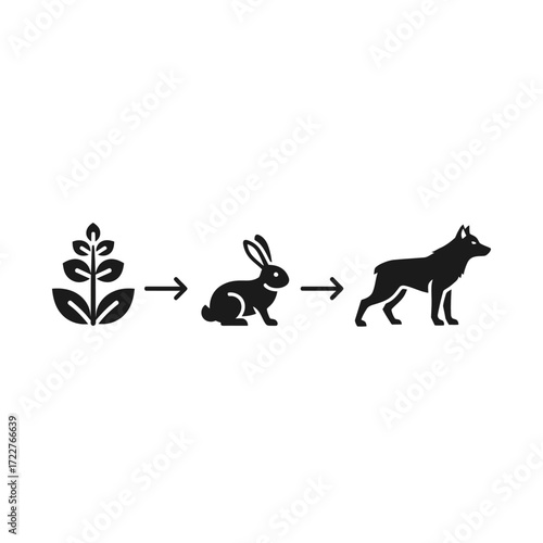 A graphic representation of the food chain, showing plant, rabbit, and dog.