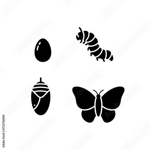 A black and white illustration depicting the four stages of a butterfly's life cycle: egg, larva (caterpillar), pupa (chrysalis), and adult butterfly.