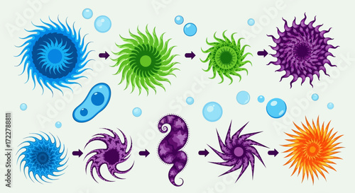 Cellular Transformation - A Visual Depiction of Biological Processes and Evolution.