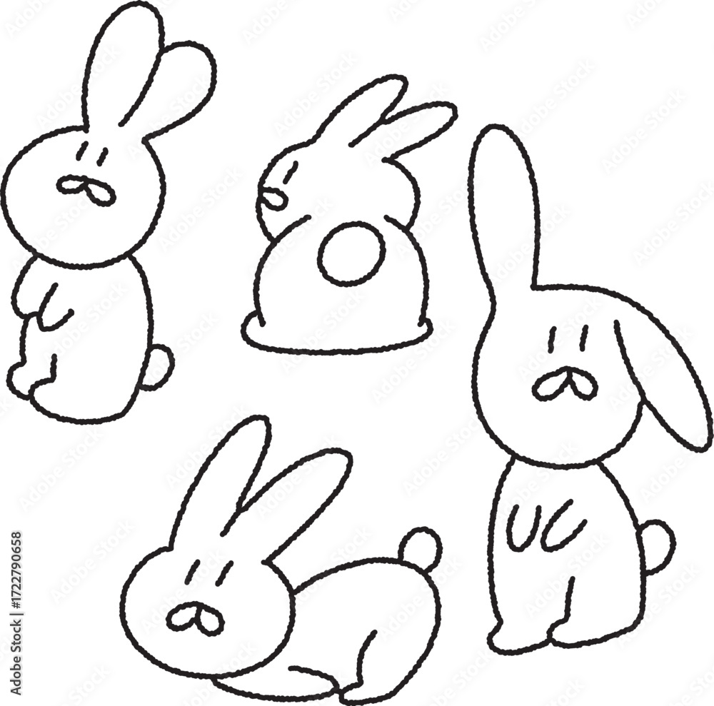 Fototapeta premium rabbit