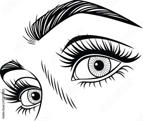 Vector art of closeup black and white illustration of a womans eyes with long eyelashes and defined eyebrows