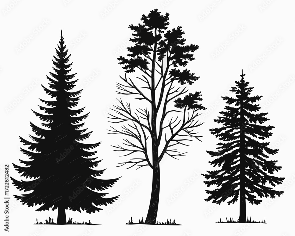 Obraz premium Pine tree silhouettes: vector evergreen trees illustration | editable svg