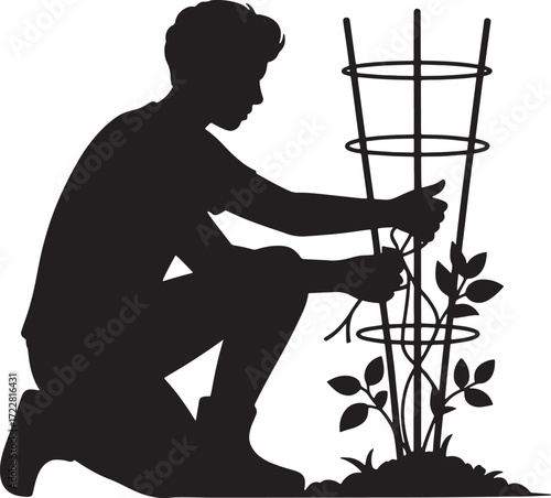 Gardener Tying Plant Silhouette Support System Horticulture