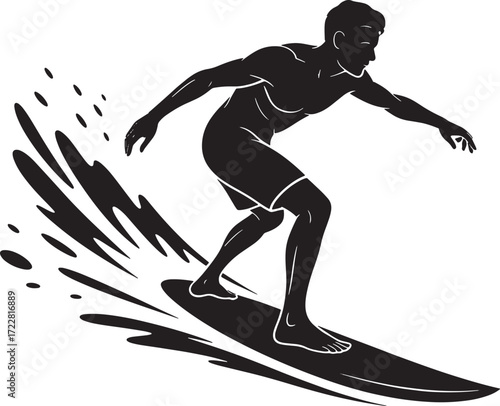 Surfer Silhouette Surfing on Surfboard Water Sport Recreation Extreme Sport Wave