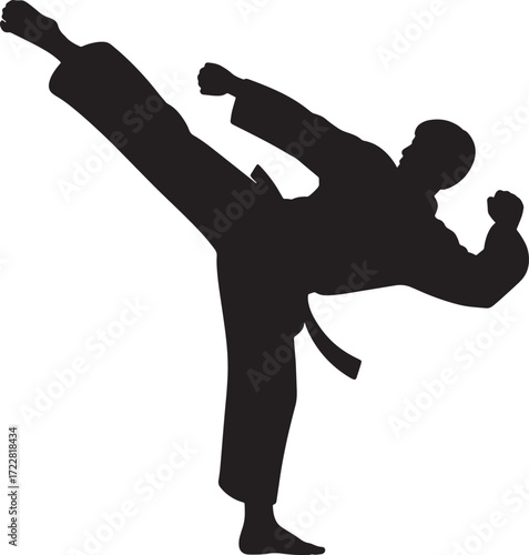 Silhouette Martial Arts Kick, Karate, Taekwondo, Action Sport, Athlete Fighter