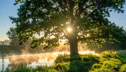 Sunburst through leafy tree canopy casts radiant light on a foggy riverbank, evoking serene beauty & lush nature in a peaceful, scenic vista