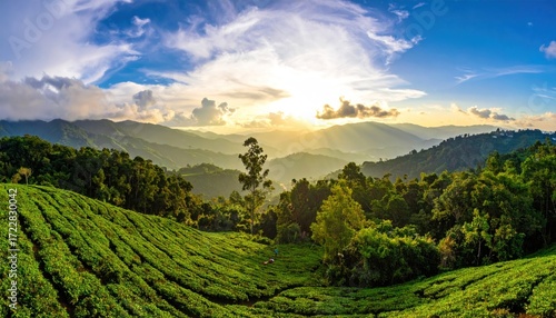 Panoramic view of a lush green hillside covered in vegetation, rolling hills, and a dramatic sky with golden sunbeams breaking through clouds