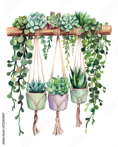 Watercolor macrame plant hangers succulents string of pearls aloe vera natural home decor green foliage