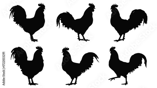 A versatile set of six black rooster silhouettes showcasing various poses. Vector graphic icons of a cockerel for farm, agriculture, or poultry design concepts