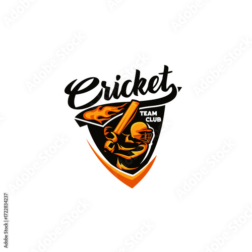 Cricket Team Club Academy Sport Player Logo