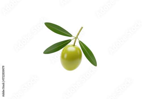 Wallpaper Mural Isolated Olive on a Branch with Leaves on a Bright Surface for Culinary Purposes Torontodigital.ca