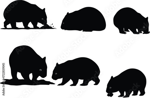 Vector silhouette illustration of Australian wombats in different poses, representing wildlife, marsupial species, nature, animal behavior, biodiversity, and conservation.