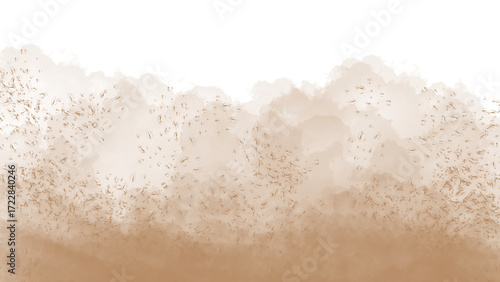 Vászonkép A dramatic, layered cloud of brown dust or smoke fills the image against a solid black backdrop