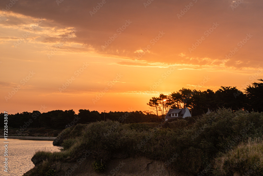 custom made wallpaper toronto digitalLever du jour