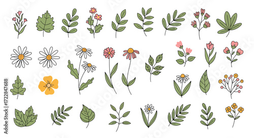 Collection of various hand-drawn floral elements, including leaves, flowers, and sprigs, perfect for design.