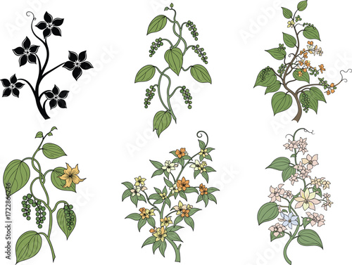 Botanical illustrations of flowering climbing plants, vintage floral art design, colorful natural vines, hand-drawn style foliage, decorative garden flora for prints and patterns