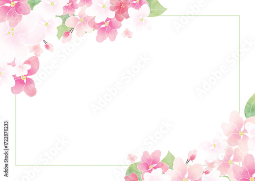 Apple blossom frame/background(vector)