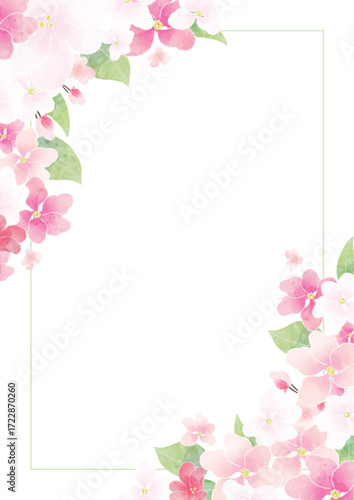 Apple blossom frame/background(vector)