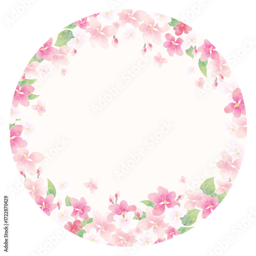 Apple blossom frame/background(vector)