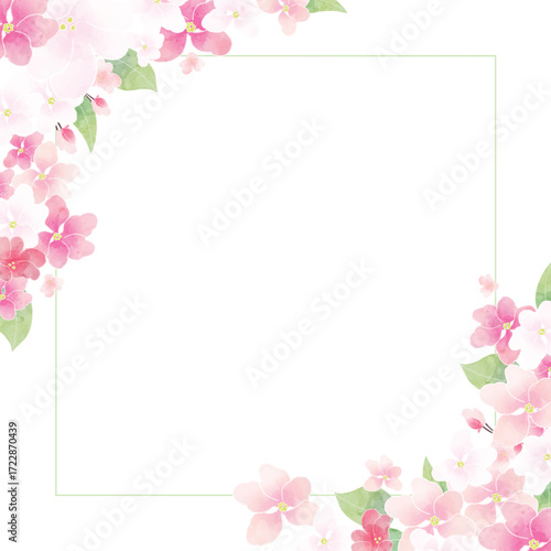 Apple blossom frame/background(vector)