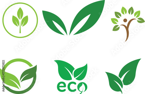 vector set of green leaves