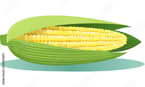 corn on the cob