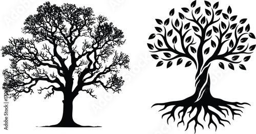Oak Tree Vector Illustration Natural Symbol Design