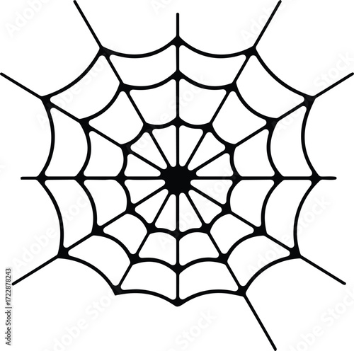 Spider web