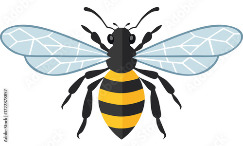 bee vector illustration