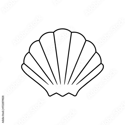 Simple outline drawing seashell on transparent background