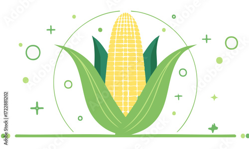 corn on the cob
