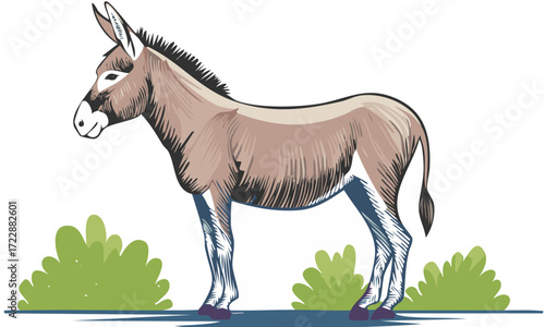 horse in grass