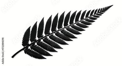 Striking fern frond against stark white evokes minimalist botanical elegance and simplicity
