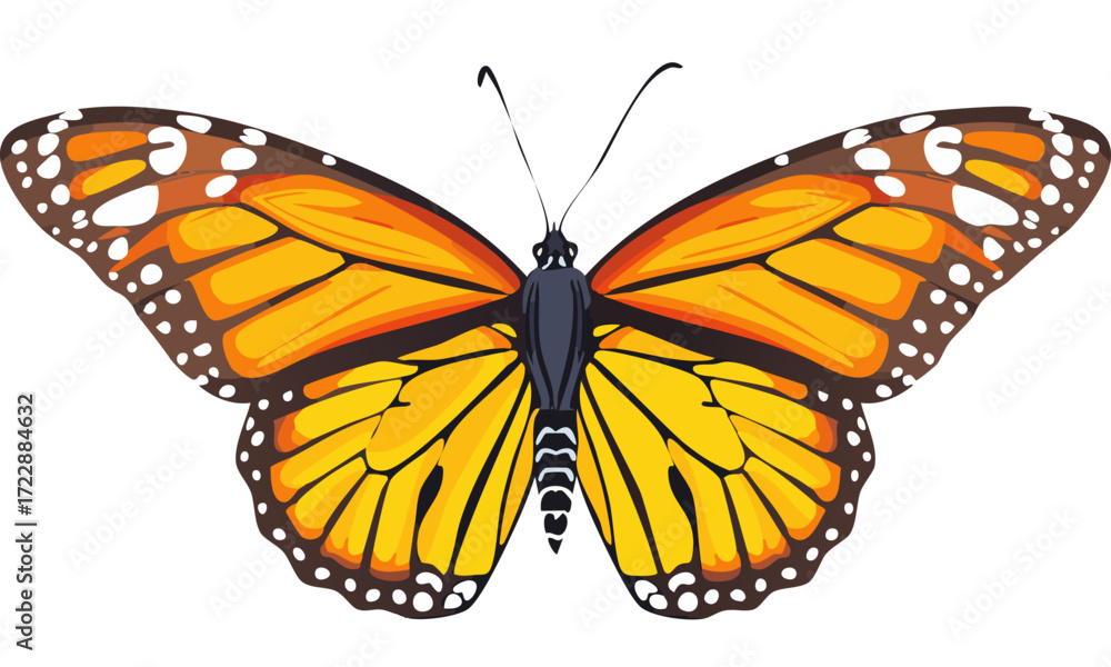 Fototapeta premium butterfly isolated on white