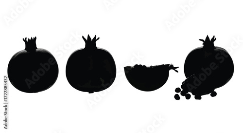 Silhouette of pomegranates diverse forms isolated graphic design element vector