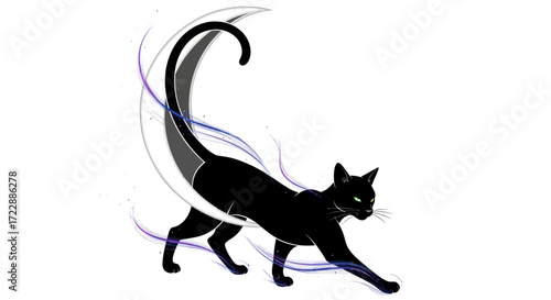 A sleek silhouette of a black cat, arched against a stylized moon, hinting at mystery and elegance