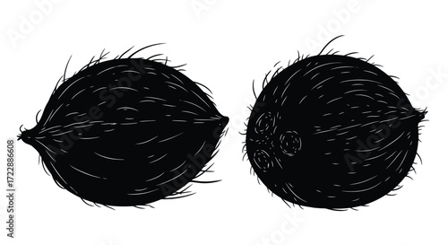 Two textured black coconut halves representing tropical freshness and natural ingredients vector