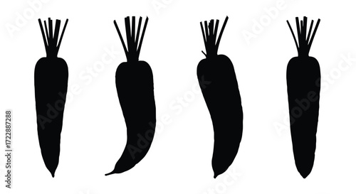 Four silhouette carrots isolated on vegetable organic food harvest collection vector