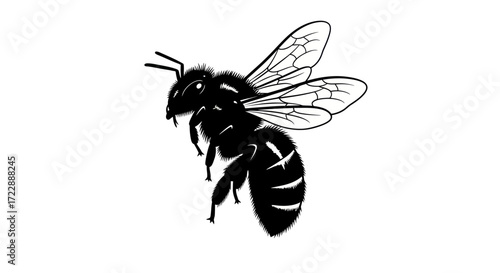 Detailed monochromatic illustration of a bee, showcasing intricate wing venation and body textures