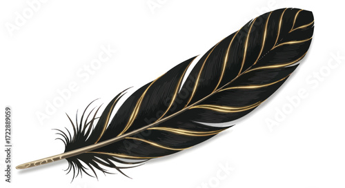 Elegant illustration of a black feather with golden accents on a white backdrop