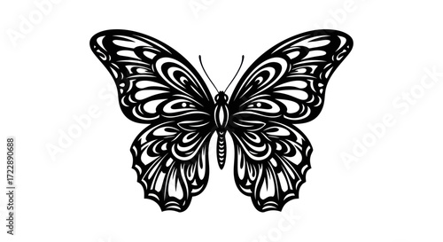 Intricate butterfly illustration showcasing elaborate wing patterns in stark black and white lines