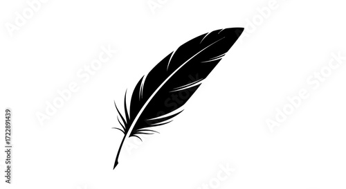 Monochromatic feather illustration highlighting delicate barbs and graceful curvature