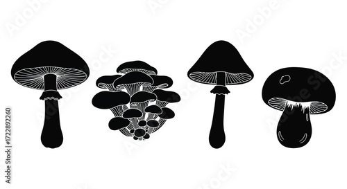 Forest floor fungi four diverse mushroom silhouettes simple organic botanical elements vector