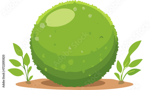 melon with leaf