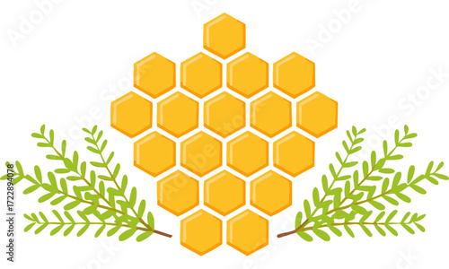 honeycomb and honey
