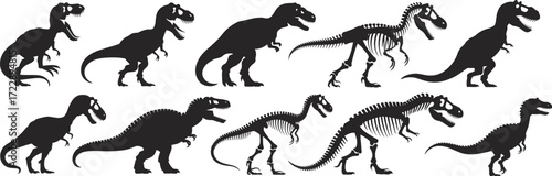 Tyrannosaurus rex illustrations, dinosaur silhouettes and skeletons, black and white vector, prehistoric animal art, fossil design, stock image, Jurassic icon, science drawing