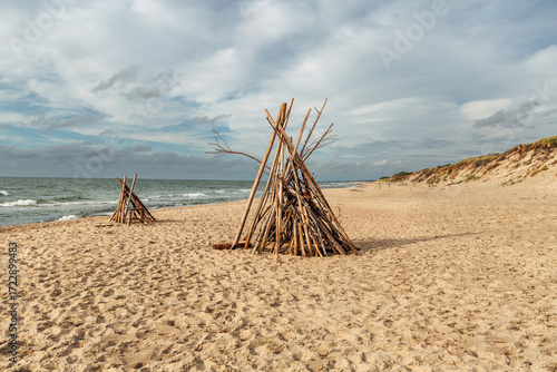Fototapeta Naklejka Na Ścianę i Meble -   Zelenogradsk, Curonian Spit National Park. Sand dunes on the shore of the Baltic Sea